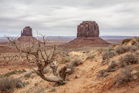 Dramatische vergezichten in Monument Valley